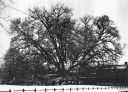 Arnswalde062.jpg