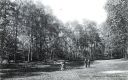 Arnswalde_062_-_1907r.jpg